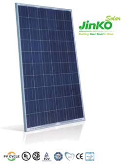jinko Egypt